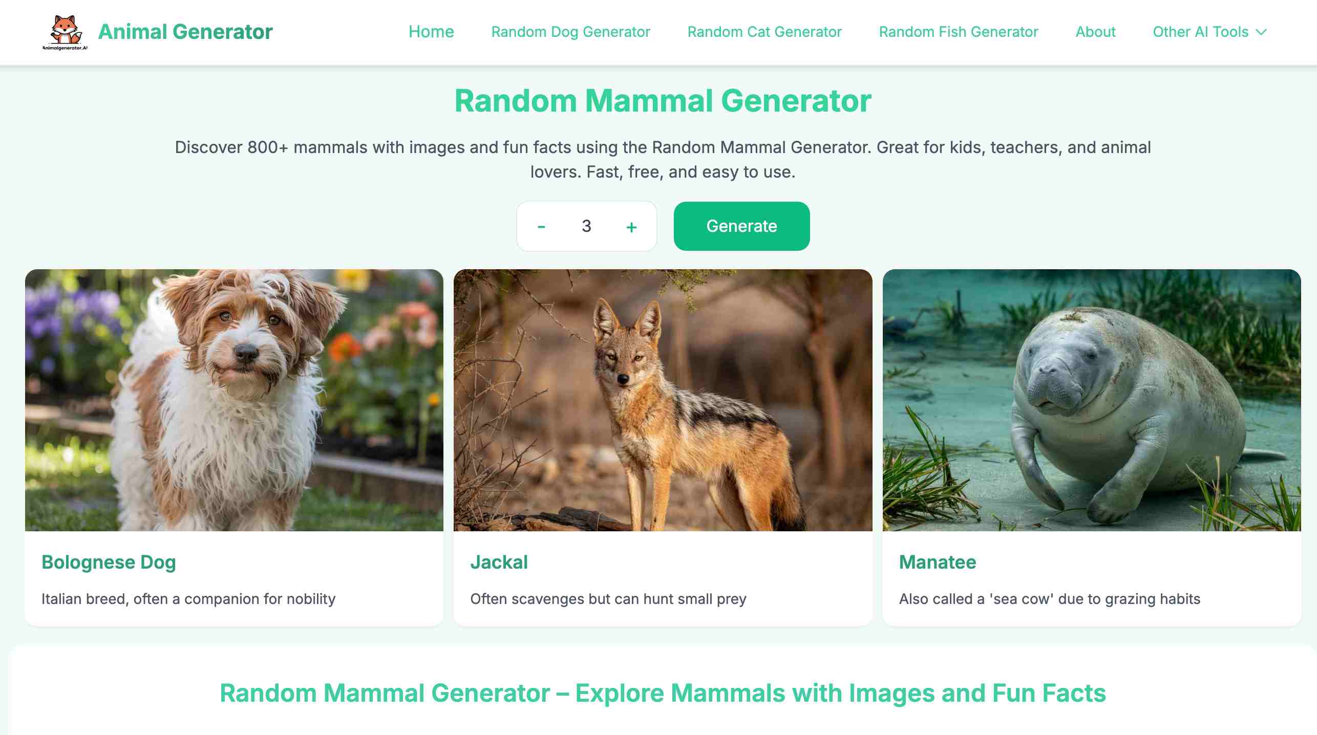 Random Mammal Generator - Explore the animal world of mammals
